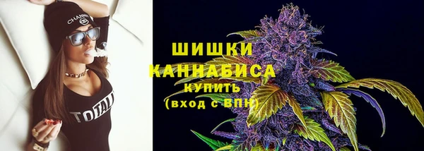 сатива Михайловск