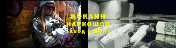 гидра Медвежьегорск