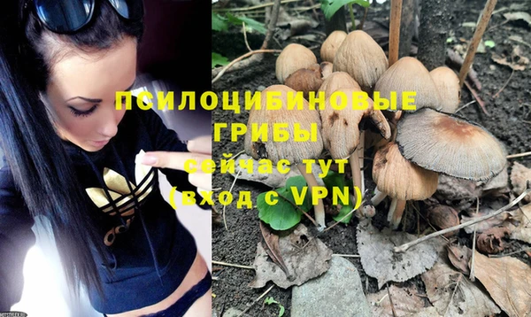 сатива Михайловск