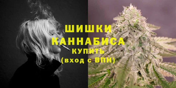 гидра Медвежьегорск
