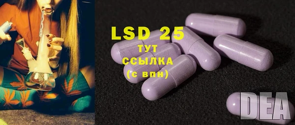 гидра Медвежьегорск