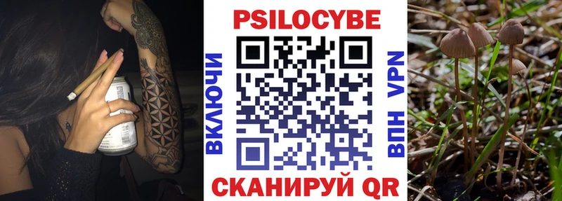 Псилоцибиновые грибы ЛСД  Пугачёв 